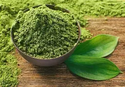 Green Tea Extract
